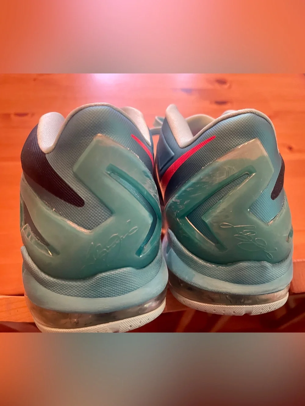 Nike Lebron nike max
